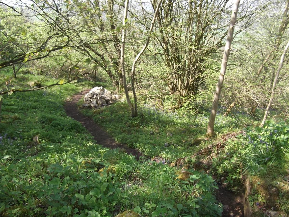 Hall Dale View Near Matlock & Peak District Exteriér fotografie